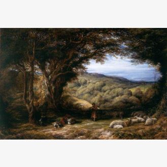 Under the Hawthorn